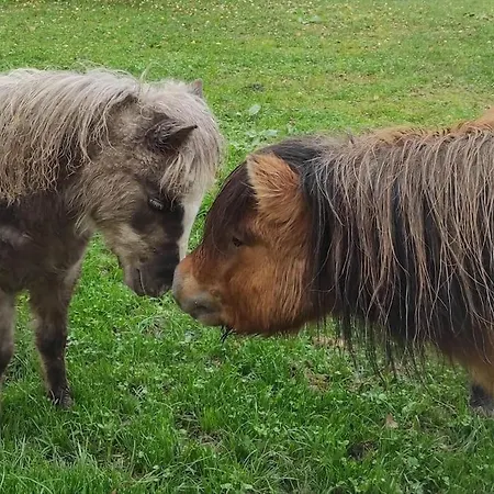 Mille Et Bulles Avec Jacuzzi Couvert Et Privatise 24 H/24 H * Paley